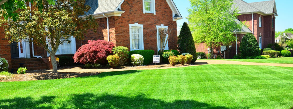 Lawn Care Services, Lawn Care Service