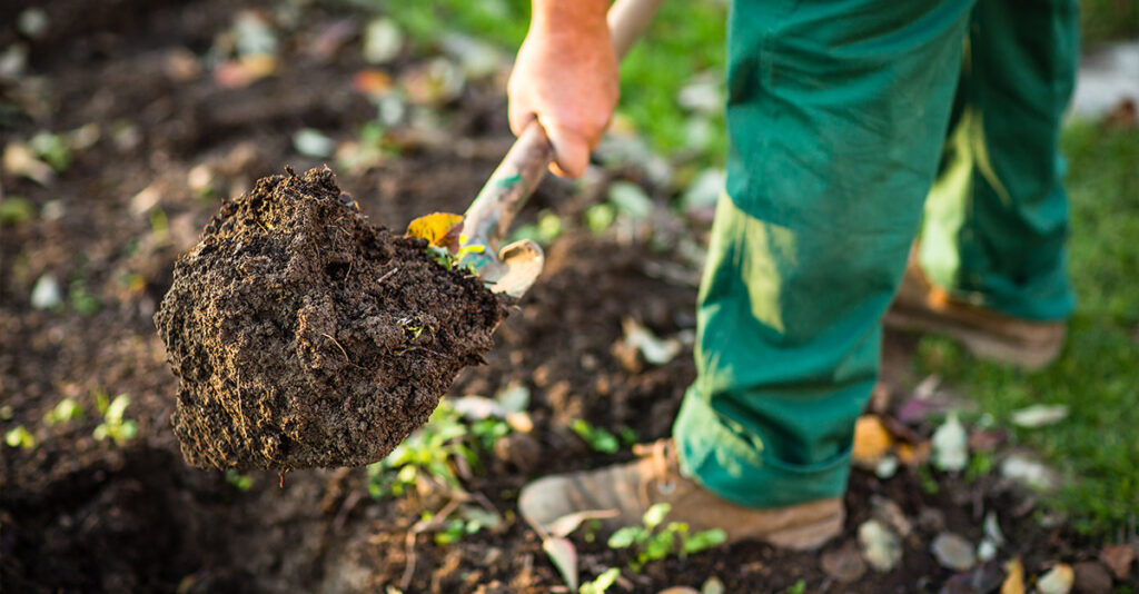 Summer Garden prep 2