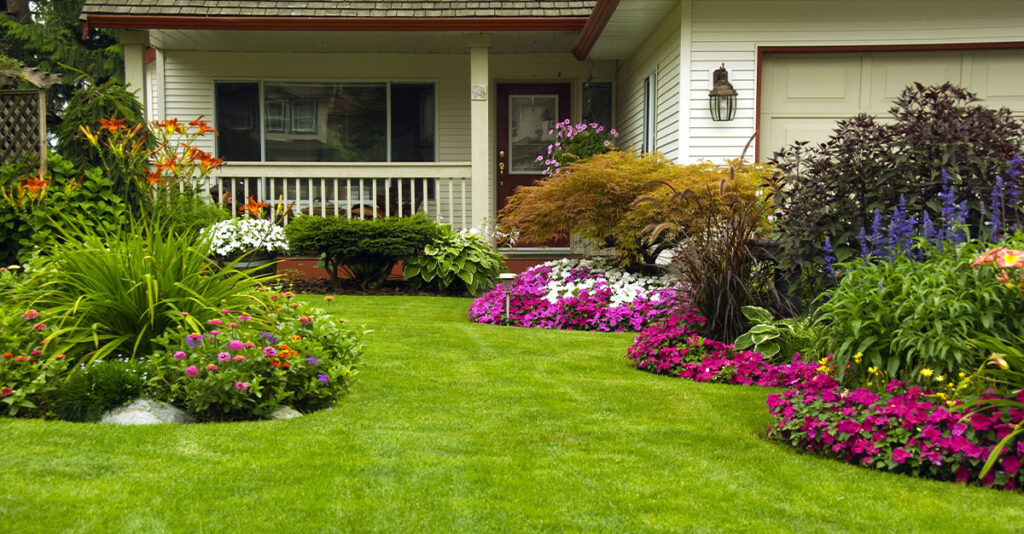 Low maintenance landscaping deals