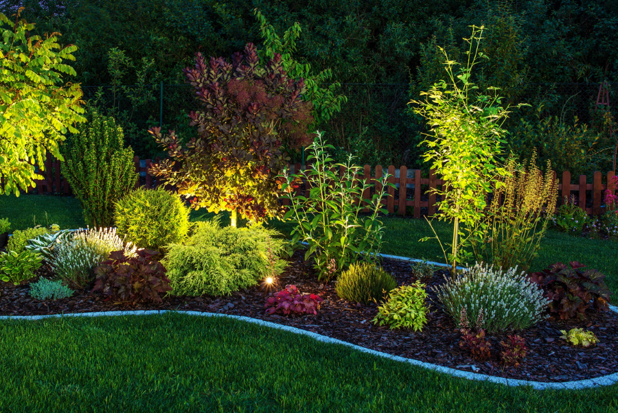 5 Brilliant Ways to Transform Your Yard This Fall with Expert Landscaping Services - Illuminate Your Yard with Landscape Lighting Installation