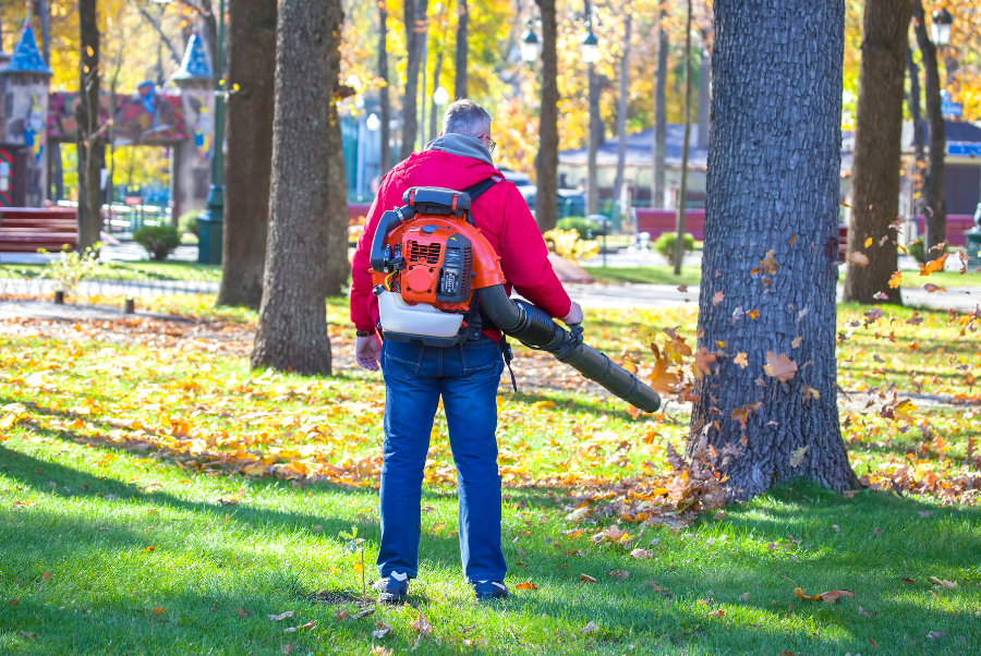 Professional-Leaf-Removal-Featured-Image