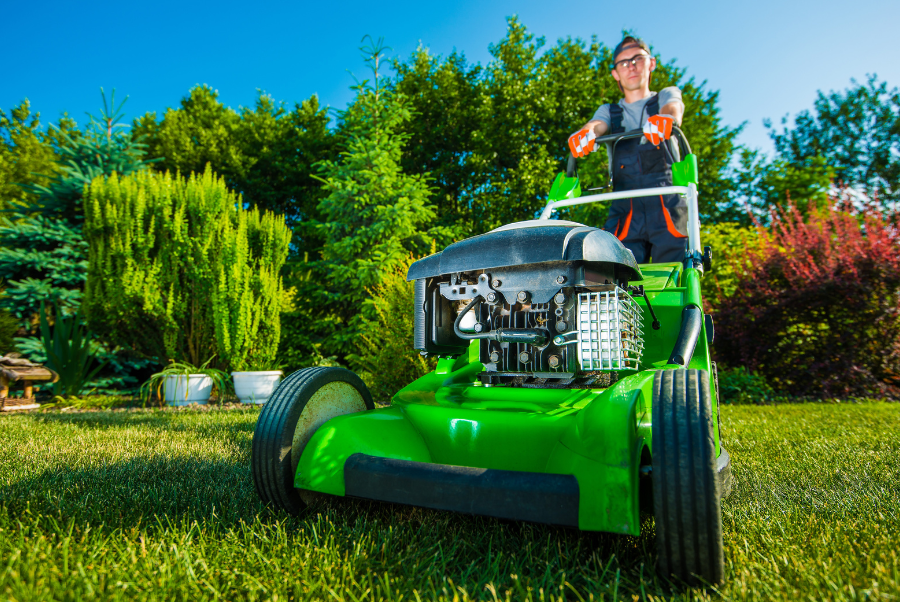 7 Incredible Benefits of Professional Leaf Removal for a Pristine Property Prevent Lawn Damage and Ensure Healthy Grass