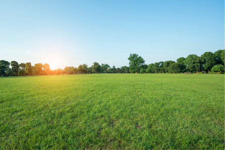 Spring Lawn Care-Featured Image