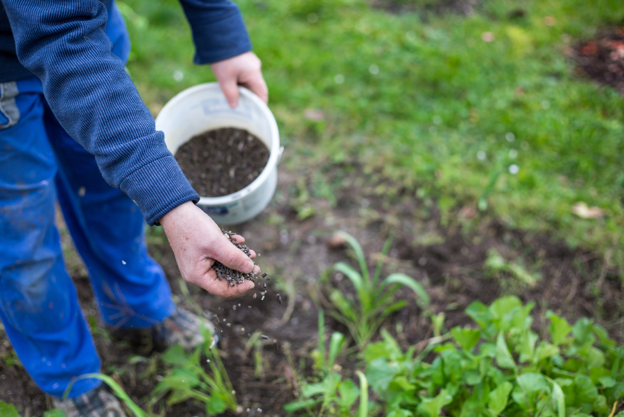 Spring Lawn Care Fertilize Appropriately for Spring Lawn Care