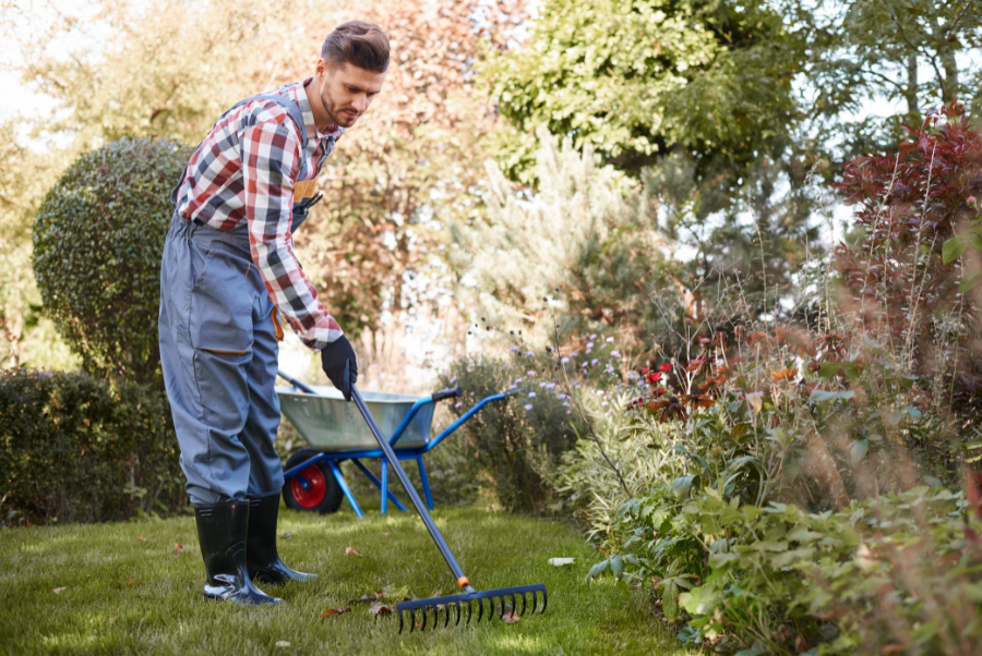 Spring Lawn Care Spring Clean Up