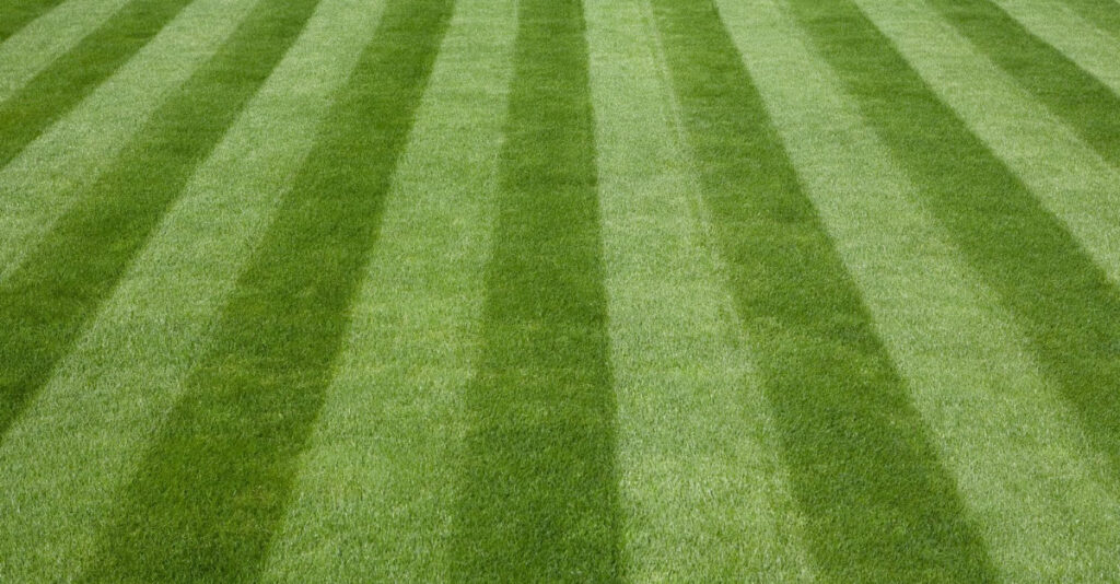 Best Lawn Mowing Techniques - Mow in Different Directions Each Time