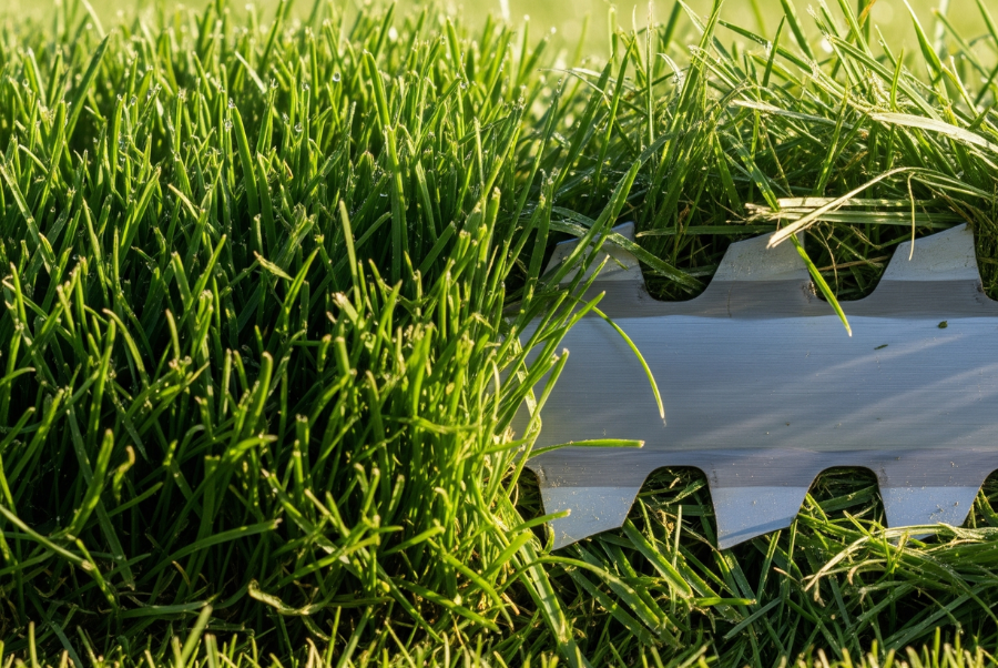 7 Common Lawn Mowing Tips Every Coventry RI Homeowner Gets Wrong 1 Scalped vs healthy grass in Coventry RI lawn