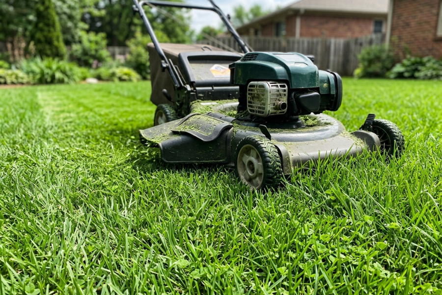 Lawn maintained at an appropriate mowing height