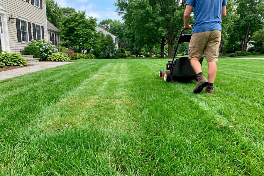 Uneven grass and stressed turf after improper lawn mowing